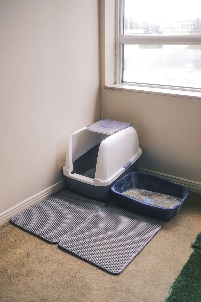 Cat-proofed home interior